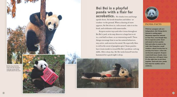 Bei Goes Home: A Panda Story