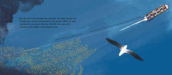 Alternative view 2 of Ducks Overboard!: A True Story of Plastic in Our Oceans
