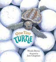 Title: One Tiny Turtle, Author: Nicola Davies