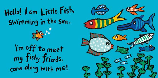 Hello, Little Fish!: A Mirror Book