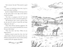 Alternative view 5 of Jasmine Green Rescues: A Foal Called Storm