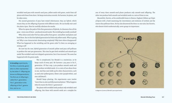 Discovering Life's Story: The Evolution of an Idea