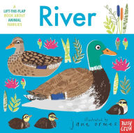Title: Animal Families: River, Author: Jane Ormes