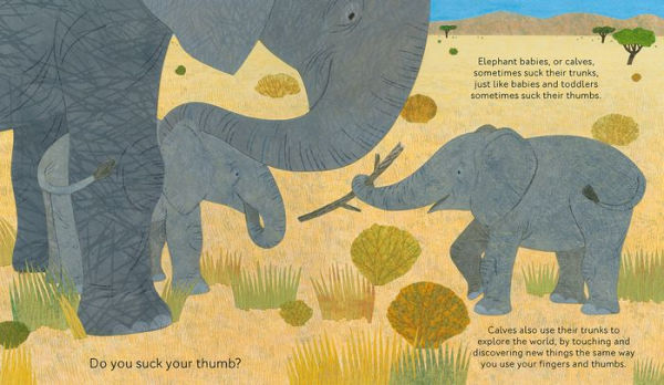 Do Baby Elephants Suck Their Trunks?: Amazing Ways Animals Are Just Like Us