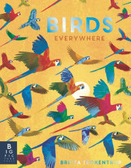 Title: Birds Everywhere, Author: Camilla de la Bedoyere