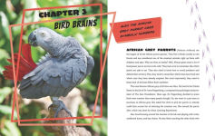 Alternative view 3 of Calculating Chimpanzees, Brainy Bees, and Other Animals with Mind-Blowing Mathematical Abilities