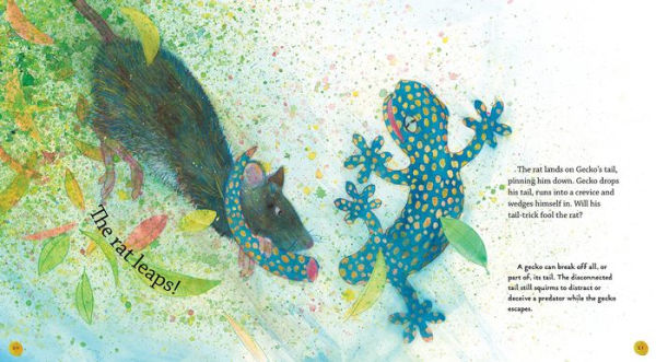 Gecko: Read and Wonder