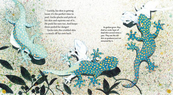 Gecko: Read and Wonder