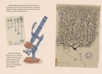 Alternative view 5 of Santiago veía las cosas diferente: Santiago Ramón y Cajal, artista, médico, padre de la neurociencia