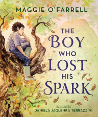 Title: The Boy Who Lost His Spark, Author: Maggie  O'Farrell