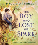 Alternative view 1 of The Boy Who Lost His Spark