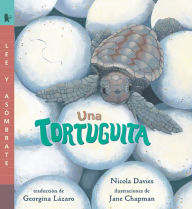 Free textbook downloads ebook Una tortuguita: Read and Wonder 9781536234756 by Nicola Davies, Jane Chapman RTF DJVU