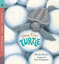 Title: One Tiny Turtle: Read and Wonder, Author: Nicola Davies