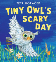 Title: Tiny Owl's Scary Day, Author: Petr Horácek