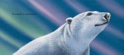 Alternative view 3 of Dasher and the Polar Bear