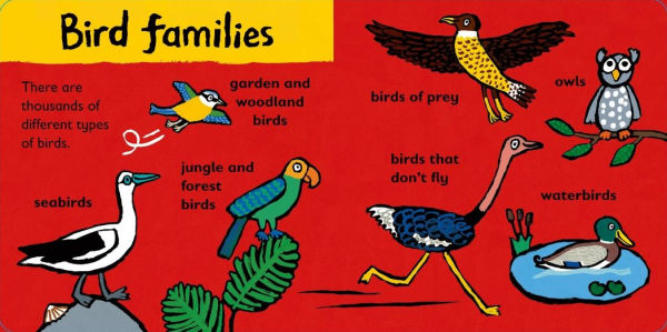 Maisy Loves Birds: A Maisy's Planet Book: A Maisy's Planet Book (Educational Board Book About Birds in Springtime - For Toddlers and Kids Ages 1-3)
