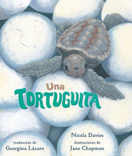 Title: Una tortuguita, Author: Nicola Davies