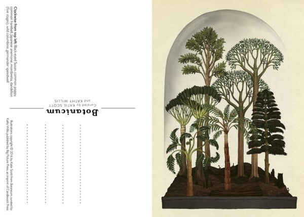 Botanicum Postcard Box Set