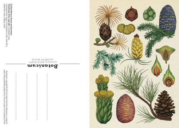 Botanicum Postcard Box Set