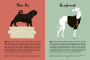 Alternative view 2 of 101 Dogs: An Illustrated Compendium of Canines