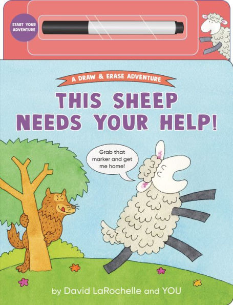 This Sheep Needs Your Help!