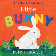 Title: Little Bunny, Author: Petr Horacek