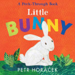 Alternative view 1 of Little Bunny