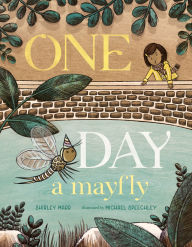 Title: One Day a Mayfly, Author: Shirley Marr