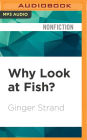 Why Look at Fish?