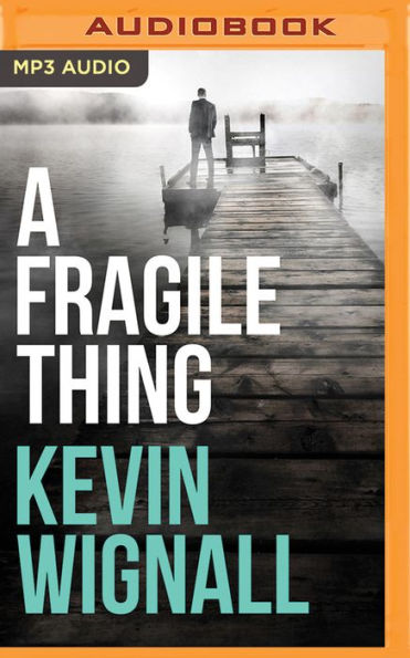 A Fragile Thing: Thriller