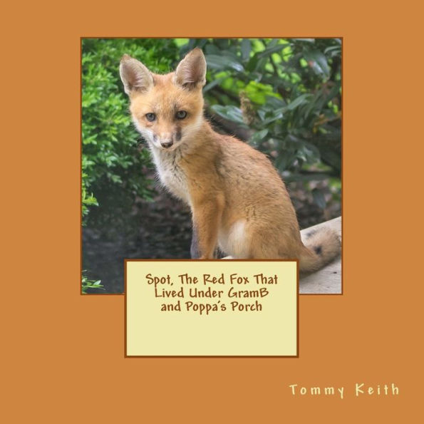 Spot, The Red Fox That Lived Under GramB and Poppa's Porch