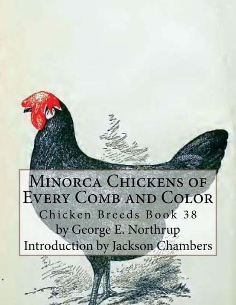 Minorca Chickens of Every Comb and Color: Chicken Breeds Book 38