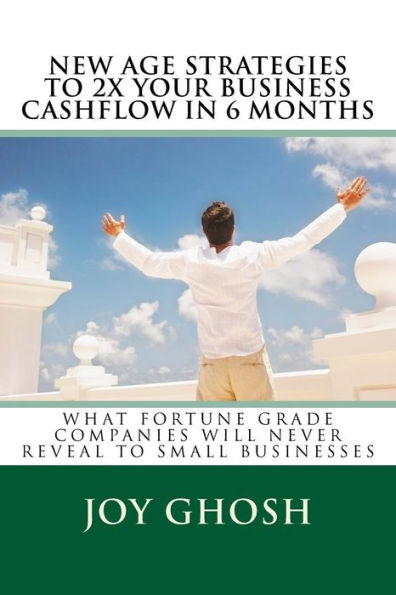 New Age Strategies To 2X Your Business Cashflow in 6 Months: What Fortune Grade Companies Will Never Reveal To Your Small Businesses