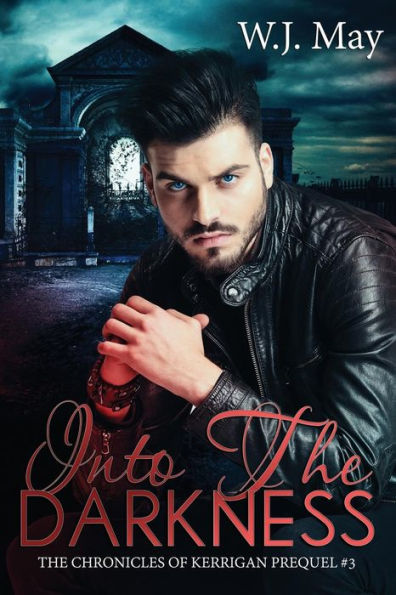 Into the Darkness: paranormal fantasy romance