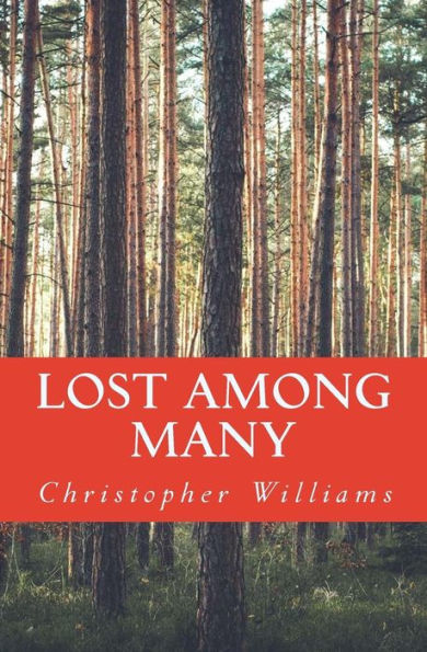 Lost Among Many: a novella