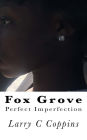 Fox Grove, Perfect Imperfection