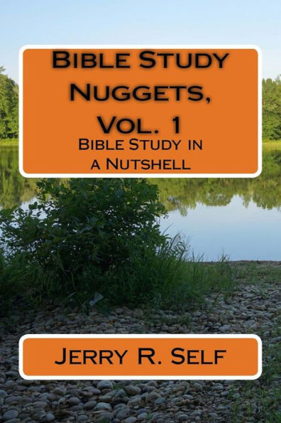 Bible Study Nuggets, Vol. 1: Bible Study in a Nutshell