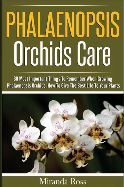 Phalaenopsis Orchids Care: 30 Most Important Things To Remember When Growing Phalaenopsis Orchids