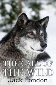 Title: The Call of the Wild: (Mockingbird Classics), Author: Jack London