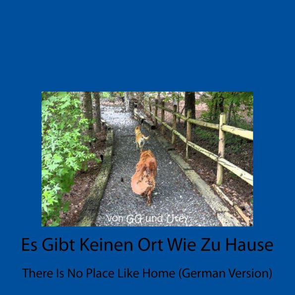 Es Gibt Keinen Ort Wie Zu Hause: There Is No Place Like Home (German Version)