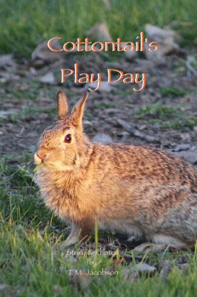 Cottontail's Play Day