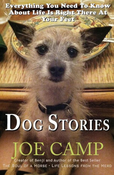 Dog Stories: Everything You Need To Know About Life Is Right There At Your Feet