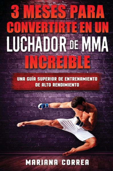 3 MESES PARA CONVERTIRTE EN UN LUCHADOR De MMA INCREIBLE: UNA GUIA SUPERIOR De ALTO RENDIMIENTO