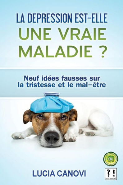 La dépression est-elle une vraie maladie ?: 9 idées fausses sur la tristesse et le mal-être