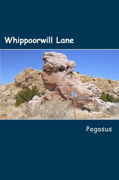 Whippoorwill Lane: Precious Loves Separated - Searches to Reunite
