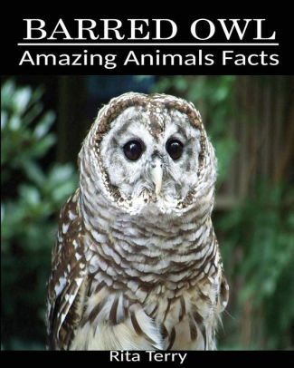 Barred Owl: Amazing Photos & Fun Facts Book About Barred Owl by Rita ...