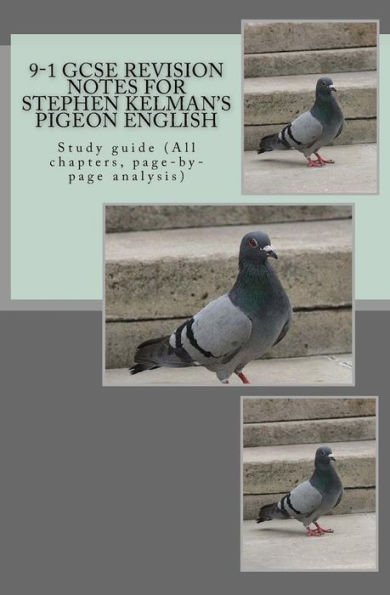 9-1 GCSE REVISION NOTES for STEPHEN KELMAN'S PIGEON ENGLISH: Study guide (All chapters, page-by-page analysis)