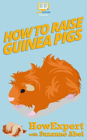 How To Raise Guinea Pigs: Your Step-By-Step-Guide to Raising Guinea Pigs
