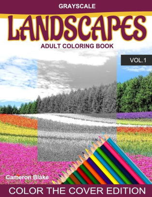 Download Grayscale Landscapes Adult Coloring Book Vol 1 Grayscale Coloring Books Landscape Coloring Book Color The Cover Seniors Beginners By Color The Cover Coloring Books Cameron Blake Paperback Barnes Noble