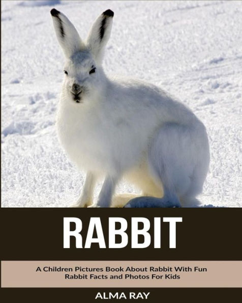 Rabbit: A Children Pictures Book About Rabbit With Fun Rabbit Facts and Photos For Kids